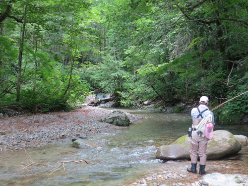 f0166390_23828.jpg
