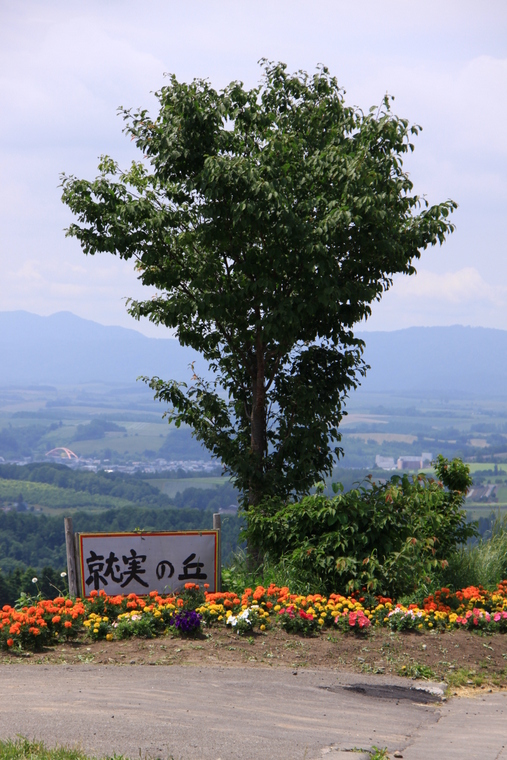 d0248502_76274.jpg