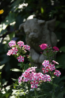 a0123003_21192710.jpg