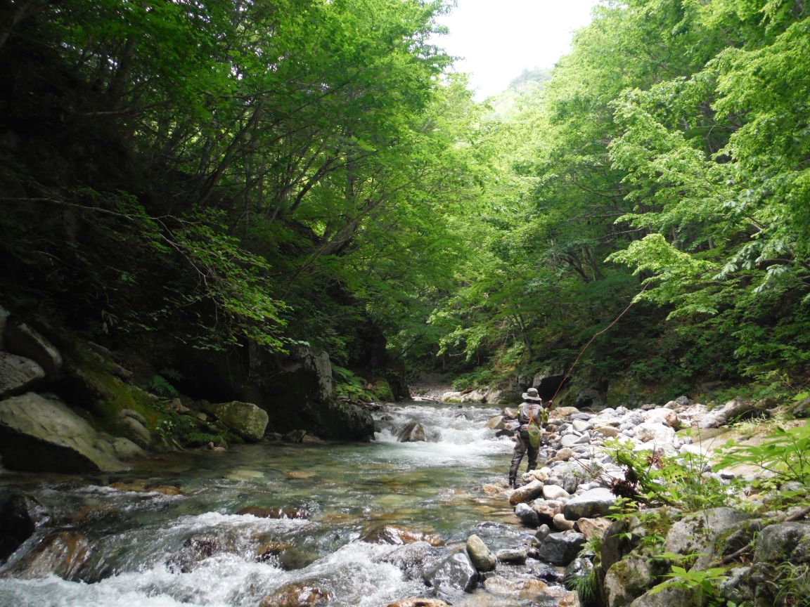 b0172805_9172563.jpg