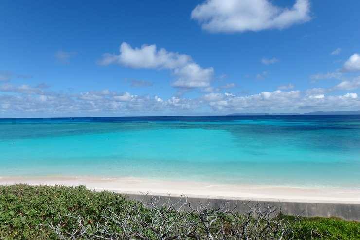 b0260713_2095659.jpg