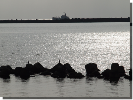a0114514_200888.png