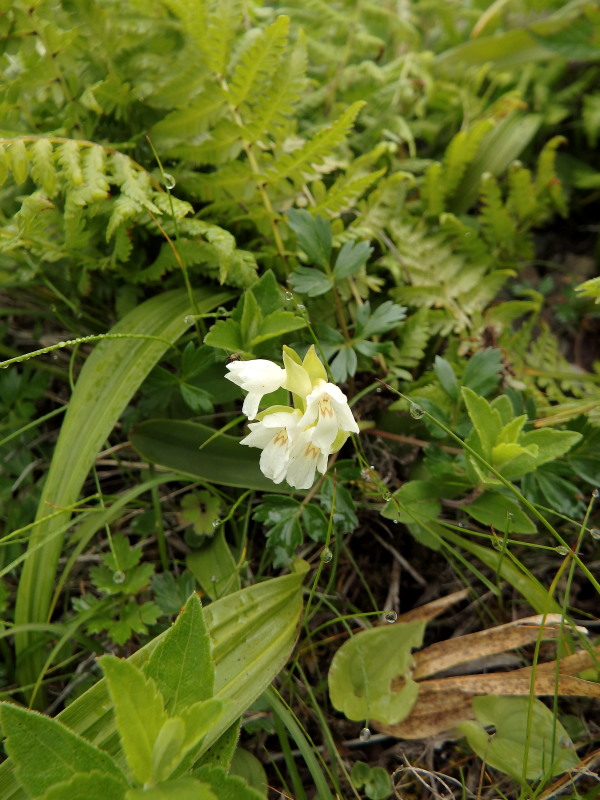 f0330321_22472978.jpg
