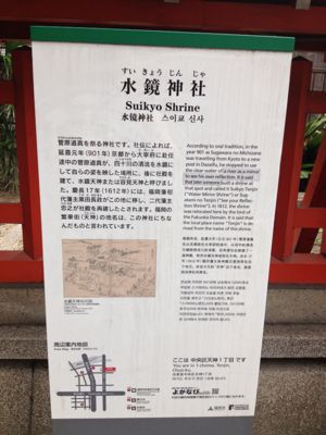 マクロ美に巡り会う日本滞在記_f0095325_22222834.jpg