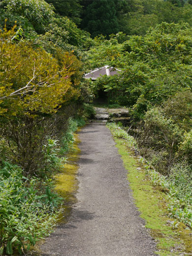 f0337128_00053681.jpg