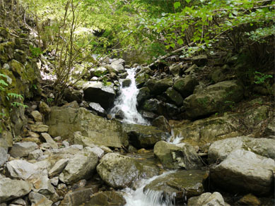 f0337128_00094611.jpg