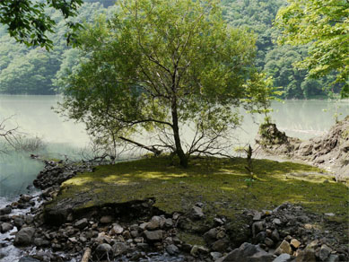 f0337128_00105027.jpg