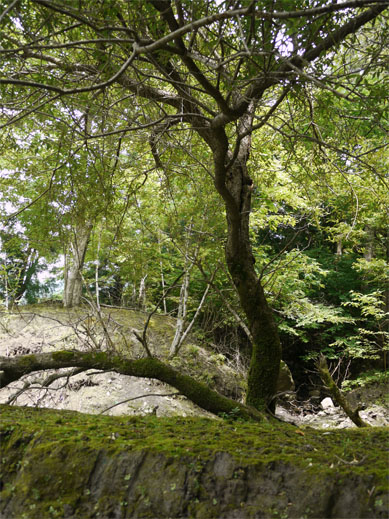 f0337128_00154694.jpg