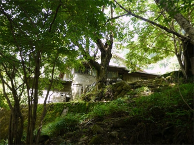 f0337128_00183322.jpg