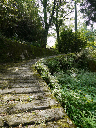 f0337128_00285404.jpg