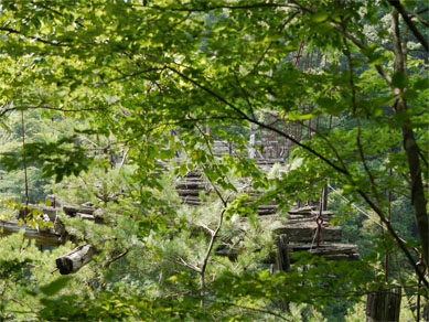 f0337128_00315691.jpg