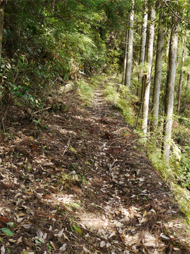 f0337128_00365002.jpg