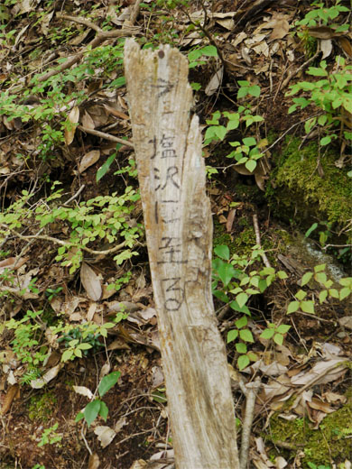 f0337128_00435038.jpg