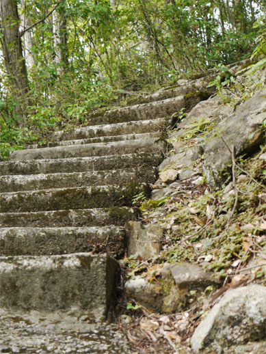 f0337128_00450419.jpg
