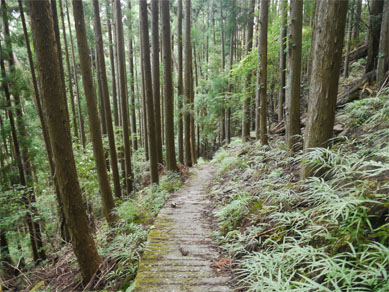 f0337128_00592982.jpg