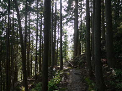 f0337128_01000652.jpg
