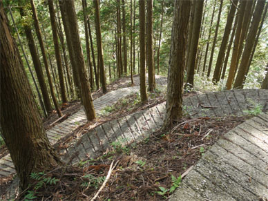f0337128_01010588.jpg