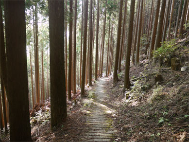 f0337128_01035263.jpg