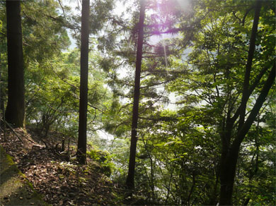 f0337128_01045460.jpg