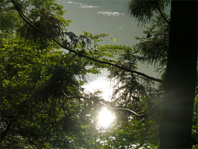 f0337128_01054021.jpg
