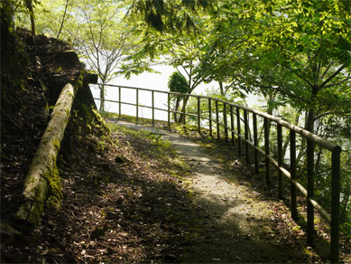 f0337128_01062528.jpg