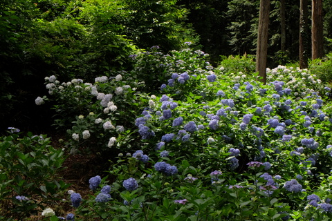 b0281732_6463528.jpg