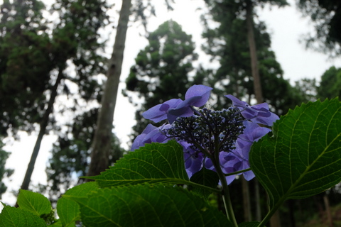 b0281732_6481776.jpg