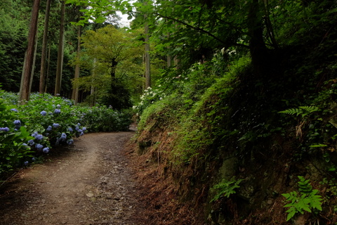 b0281732_64886.jpg
