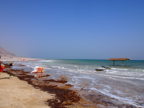 f0347942_01071770.jpg