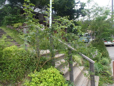 a0078344_16414978.jpg