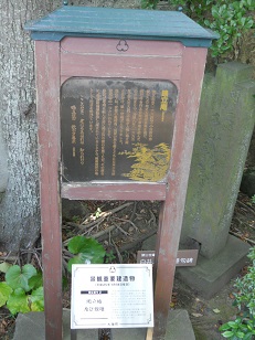 7年振りの大磯_f0172744_20234811.jpg