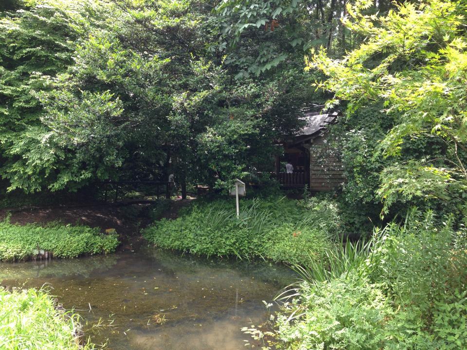 龍神のQ州ツアー2!(2日目) 2014.7.13_b0002156_1449662.jpg
