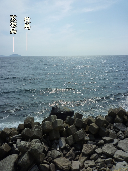 c0222861_1754047.jpg