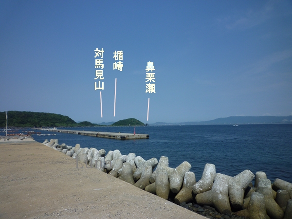 c0222861_1755989.jpg