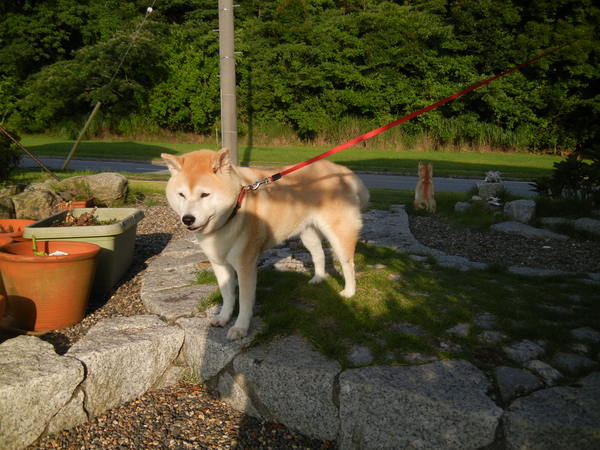 ’14,7,15(火)爽やかな風とドラゴンフルーツ!_f0060461_10165748.jpg