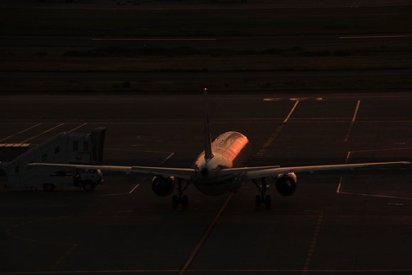 羽田の朝_d0202264_5514764.jpg