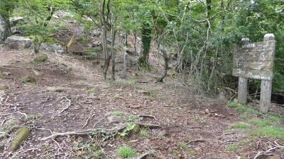 d0326888_08911.jpg