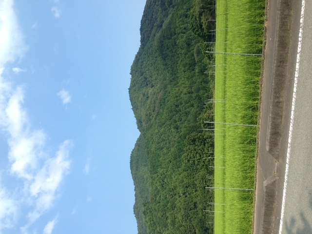 f0223290_21162788.jpg