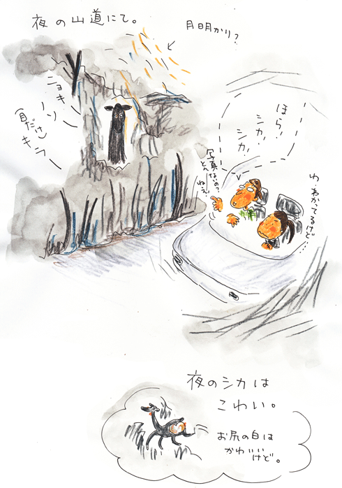 f0236291_1117815.gif