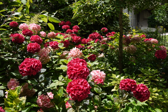 b0183295_20503265.jpg