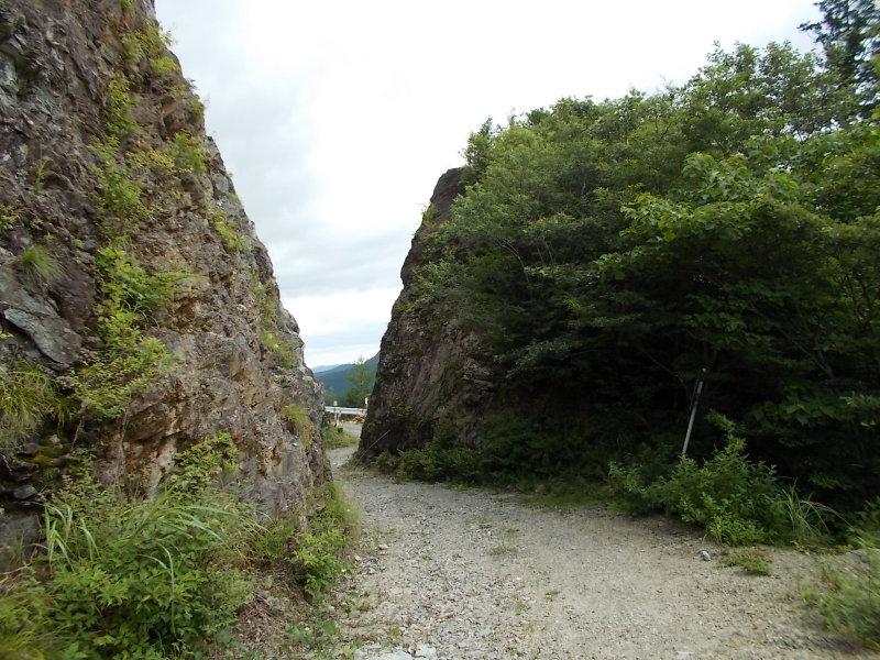 自念子林道(いの町)_f0308898_819128.jpg