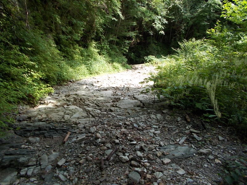 f0308898_89116.jpg