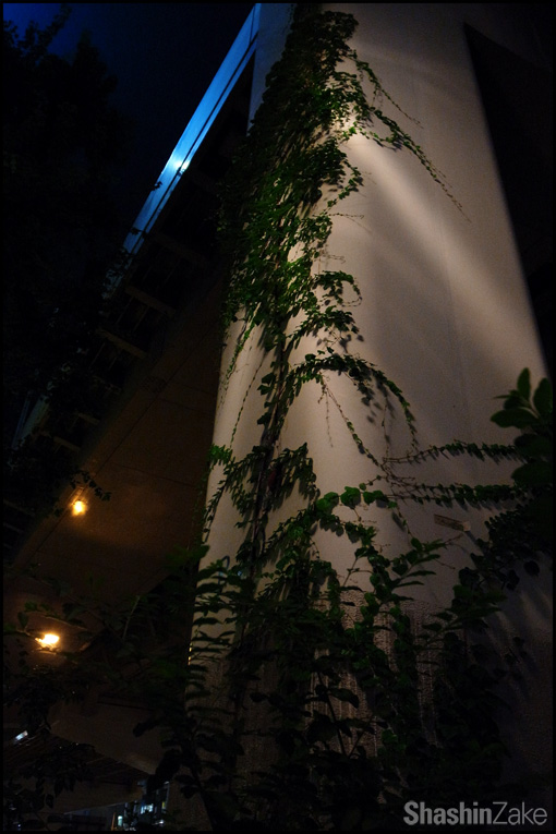 c0102003_16352384.jpg