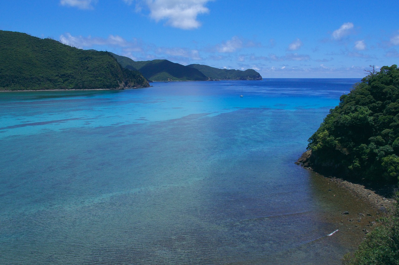b0174905_17454890.jpg