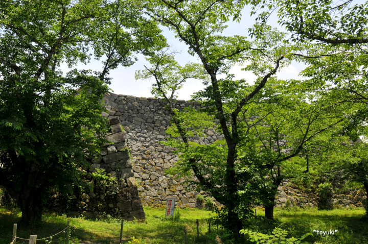 丹波篠山・城下の景観を残す町～篠山城跡～_d0226407_22131217.jpg