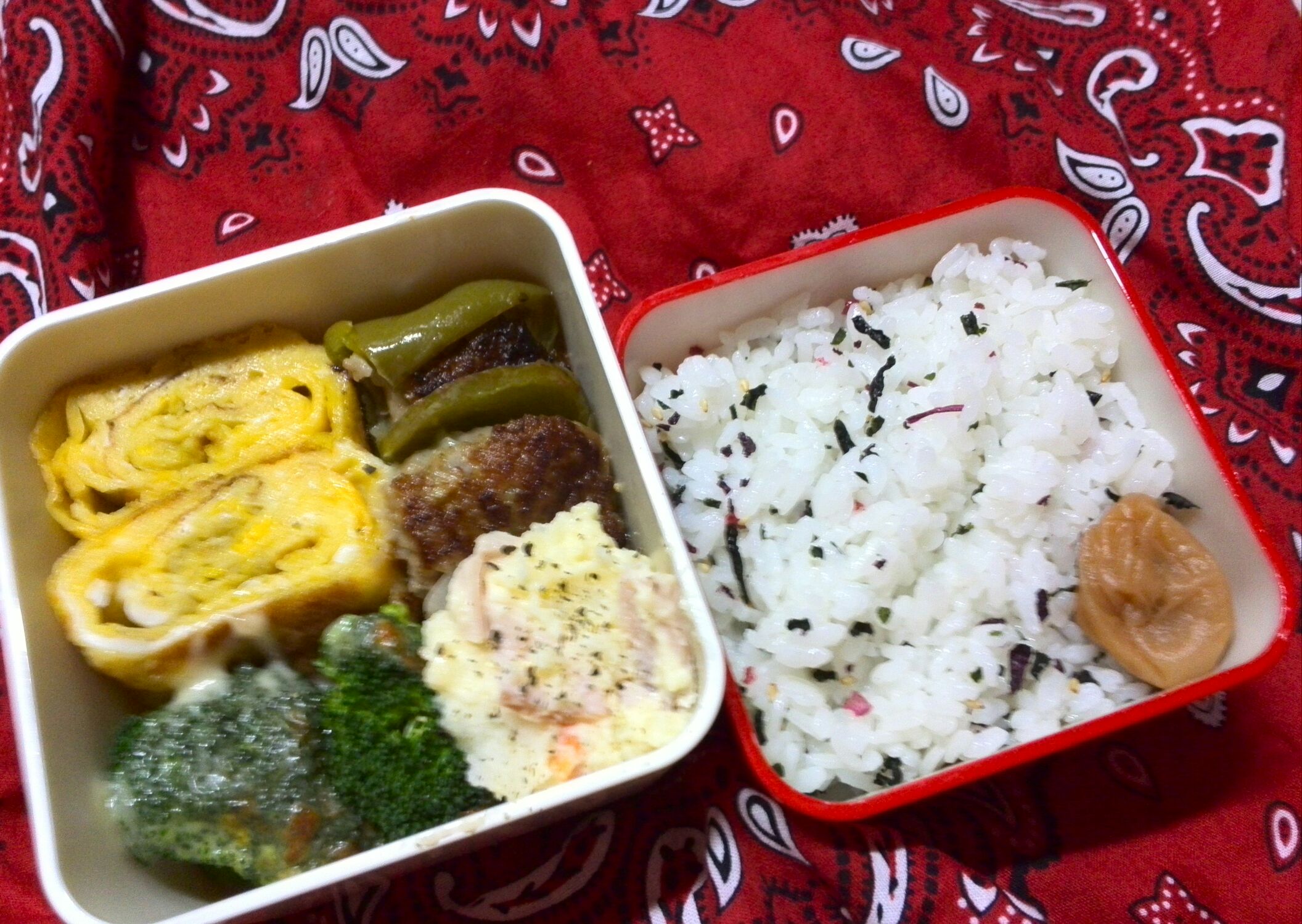 ピーマンの肉詰め弁当_b0075817_13263694.jpg