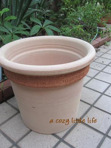 オオデマリの植え替え A Cozy Little Life オオデマリの植え替え A Cozy Little Life