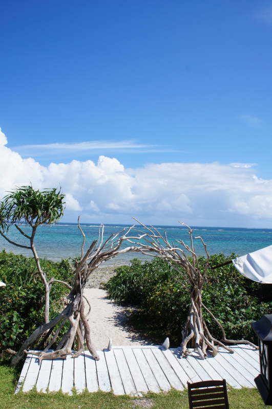 b0192820_21441546.jpg