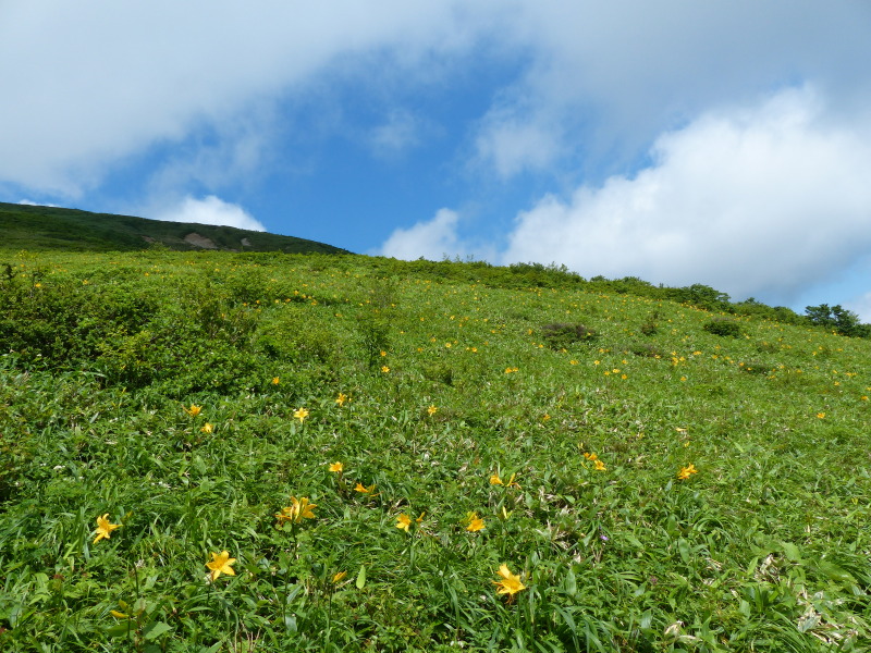 奥那須・天空の花畑_a0288621_09582133.jpg