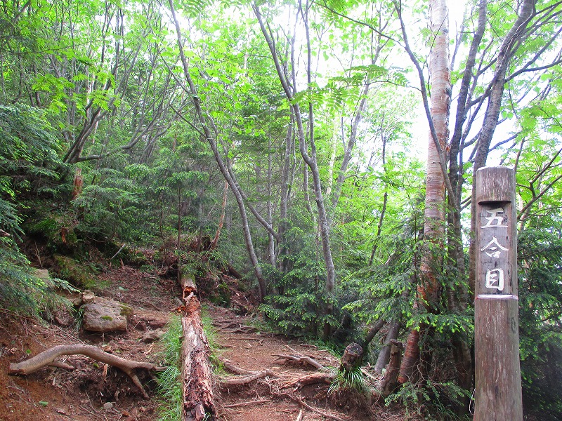 日光　志津峠から登る男体山　　　　　Nantaisan in Nikkō National Park_f0308721_1381494.jpg